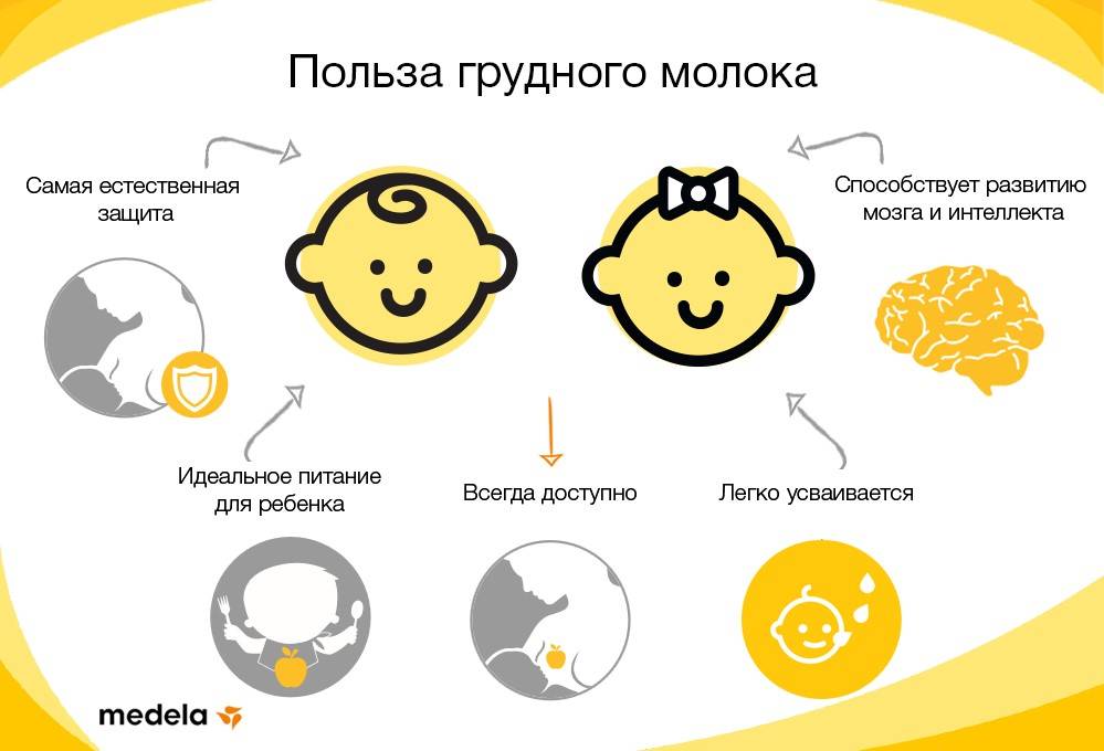 Состав грудного молока