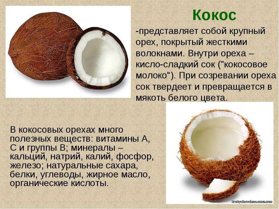 Можно ли орехи при грудном вскармливании новорожденного?