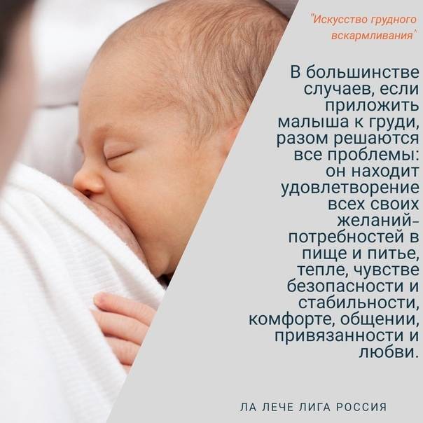 Ответы на 20 часто задаваемых вопросов о грудном вскармливании