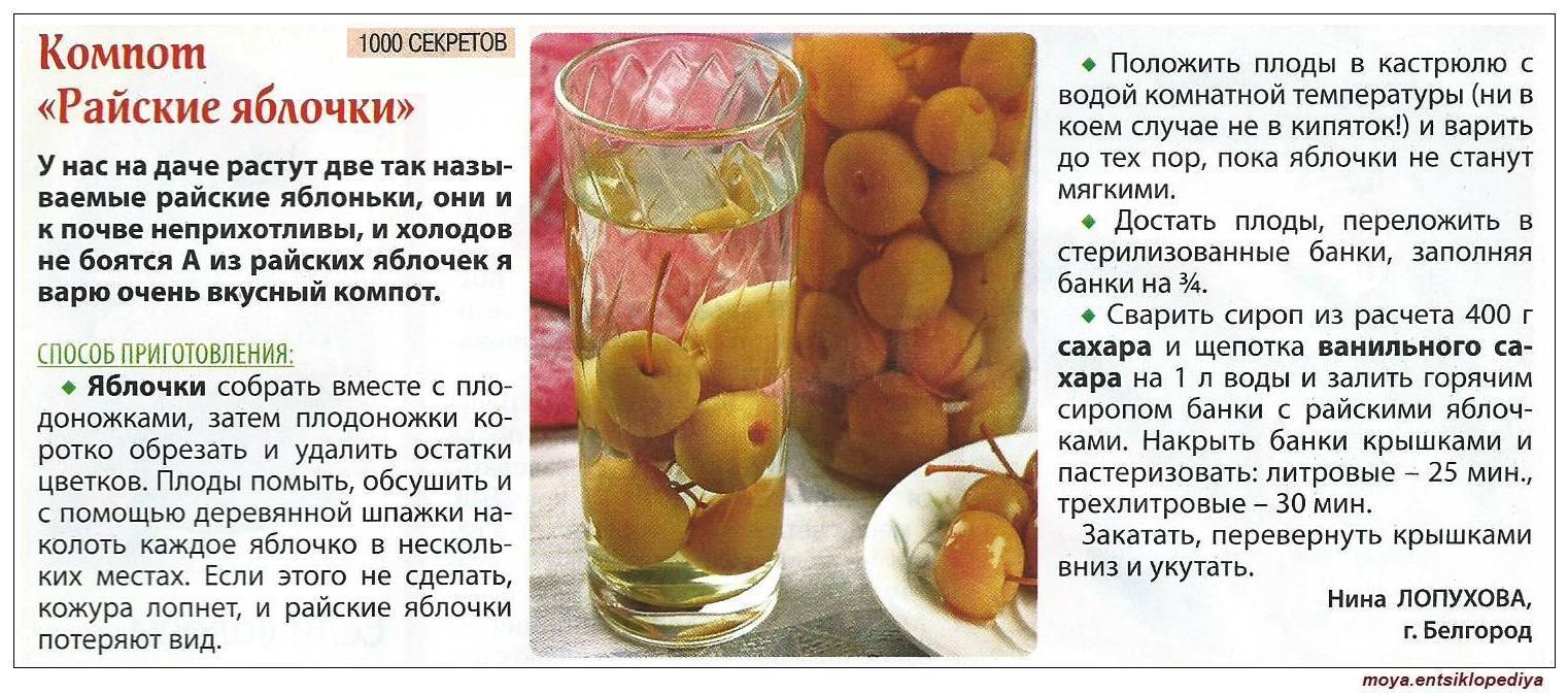 Компот для ребенка - лучшие рецепты. как правильно и вкусно приготовить компот для ребенка. - автор екатерина данилова - журнал женское мнение