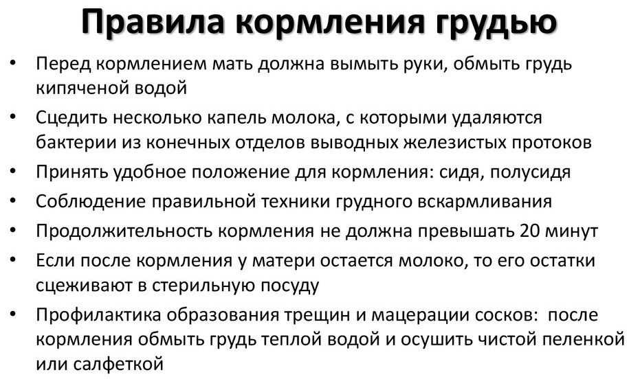 Кормление по требованию или по часам: советы комаровского