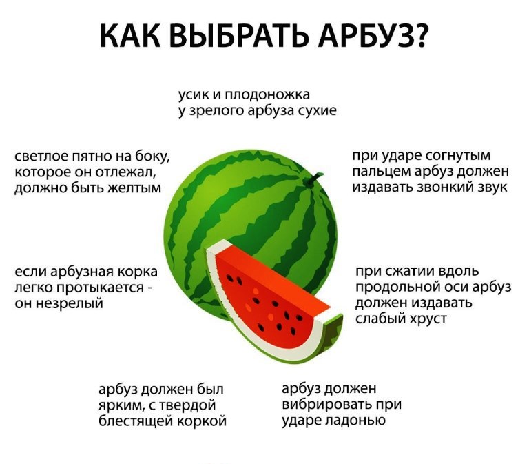 Дыня и арбуз при грудном вскармливании