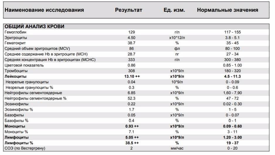 Пониженные лимфоциты в крови у ребенка: причины снижения, способы повышения и нормализации показателя