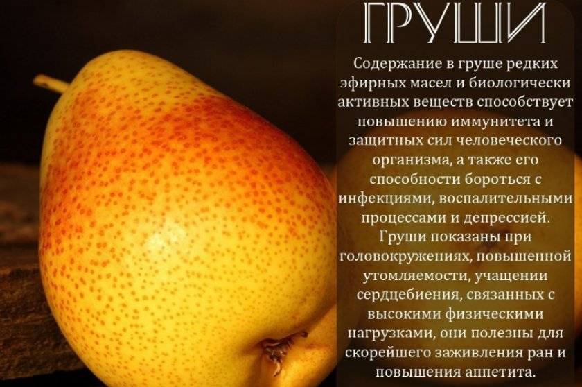 Можно ли во время беременности есть грушу: польза и вред вкусного фрукта