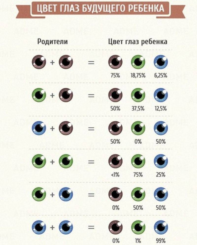 С каким цветом глаз родится ребенок: определение цвета глаз, генетическая наследственность и закон менделя - sammedic.ru
