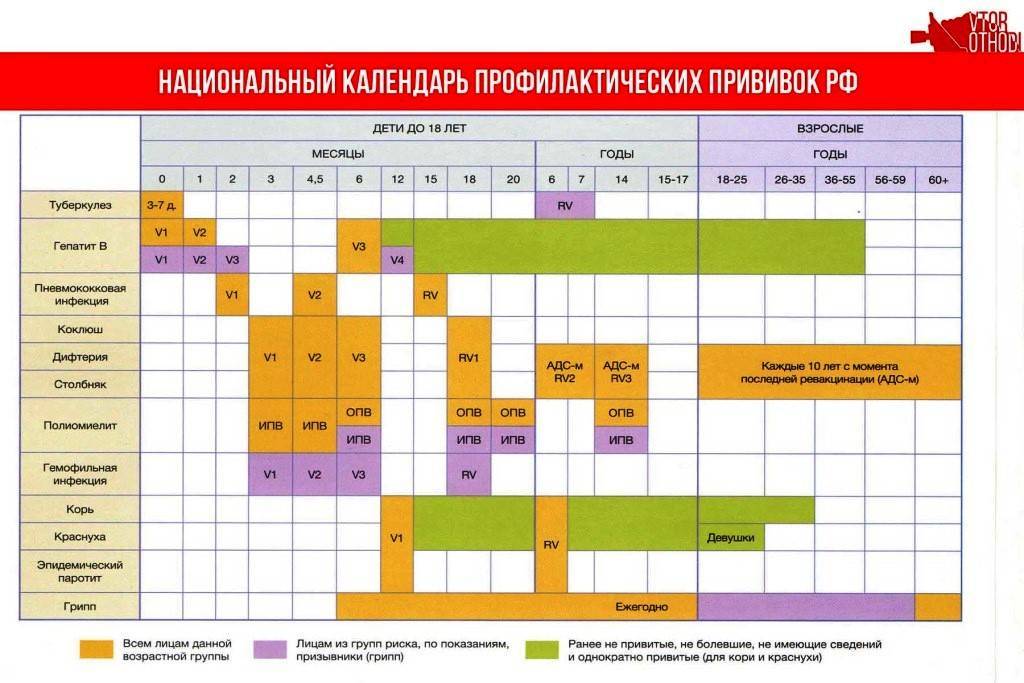 Национальный календарь прививок презентация