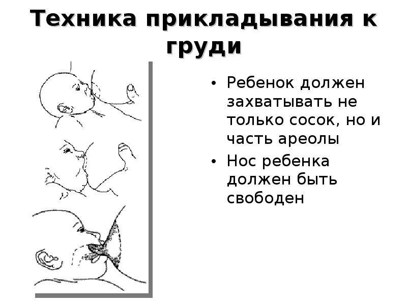 Ребенок не берет грудь, психует и плачет: что делать