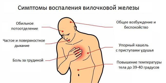 Вилочковая железа у детей: причины отклонений и лечение