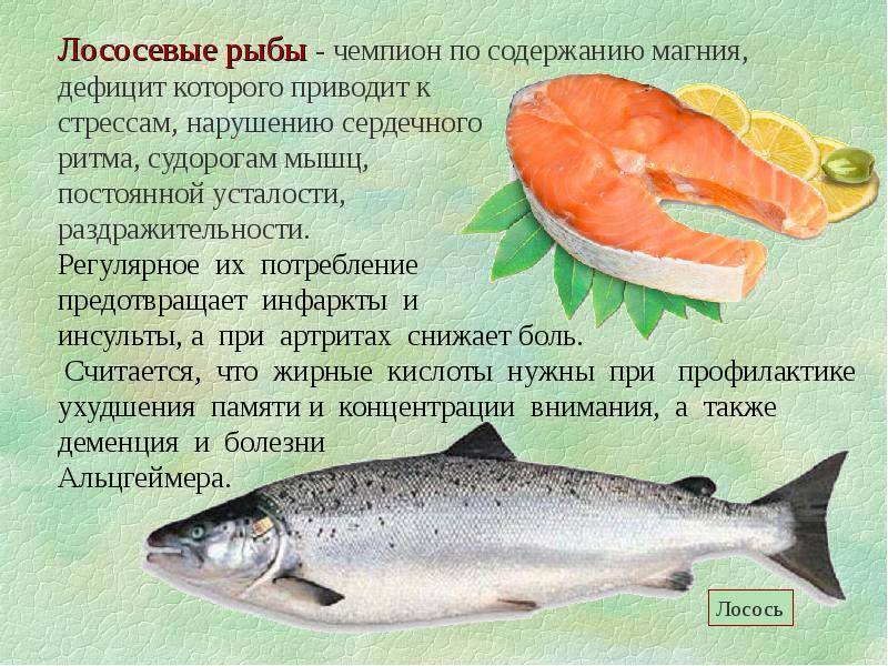 С какого возраста и какую рыбу можно детям?