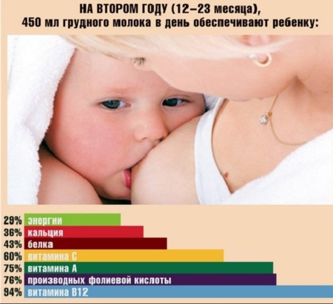 Не знаете до какого возраста кормить ребенка грудным молоком? читайте рекомендации воз и американских педиатров