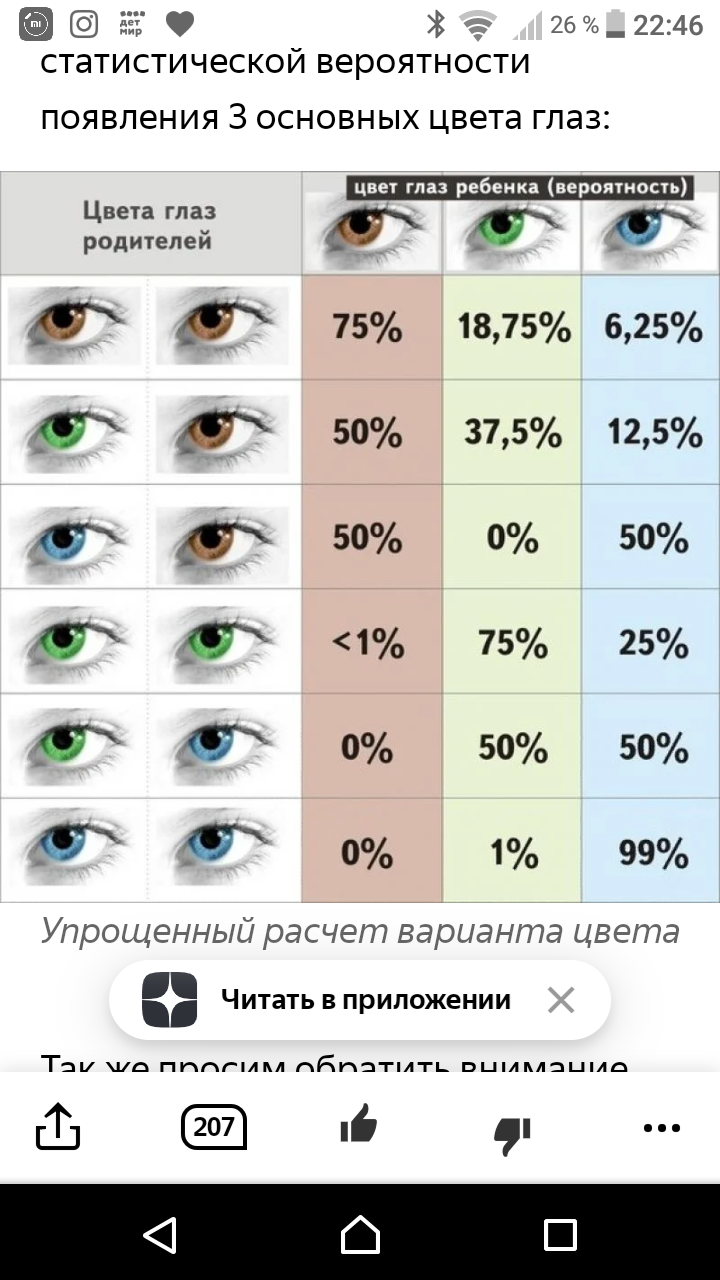 Какого цвета будут глаза у ребёнка? генетические зависимости и закономерности. – маме на заметку