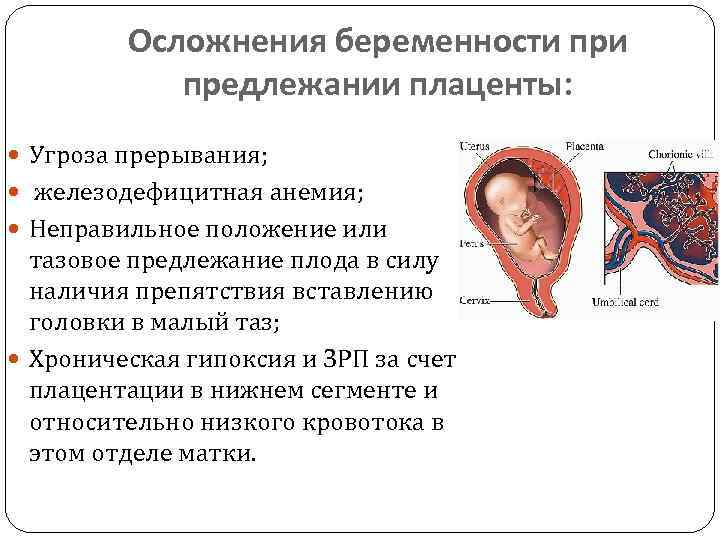 Низкая плацентация при беременности 12 недель