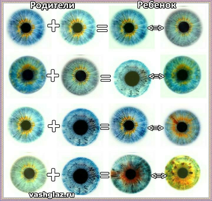 Карие и голубые глаза совместимость. Смешение цвета глаз. Смешение цветов глаз родителей. Цвет глаз ребенка. Цвет глаз родителей и детей.