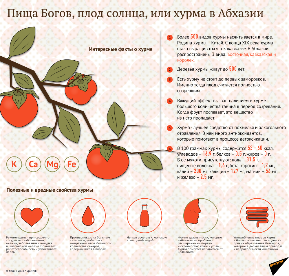 Гранат, хурма и киви при грудном кормлении: можно ли