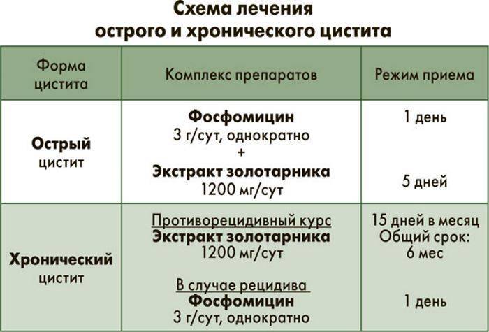 Как и чем лечить цистит у кормящей мамы: народные средства и препараты