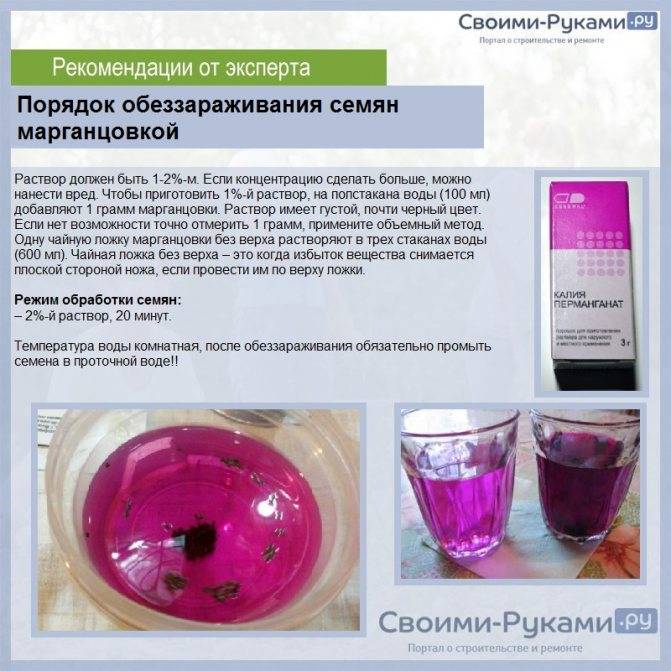 Раствор марганцовки при купании новорожденного: правила разведения и особенности использования ~