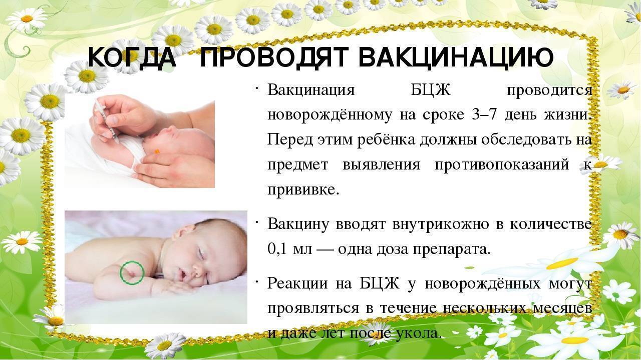 Вакцинация недоношенных детей: как правильно проводить прививки