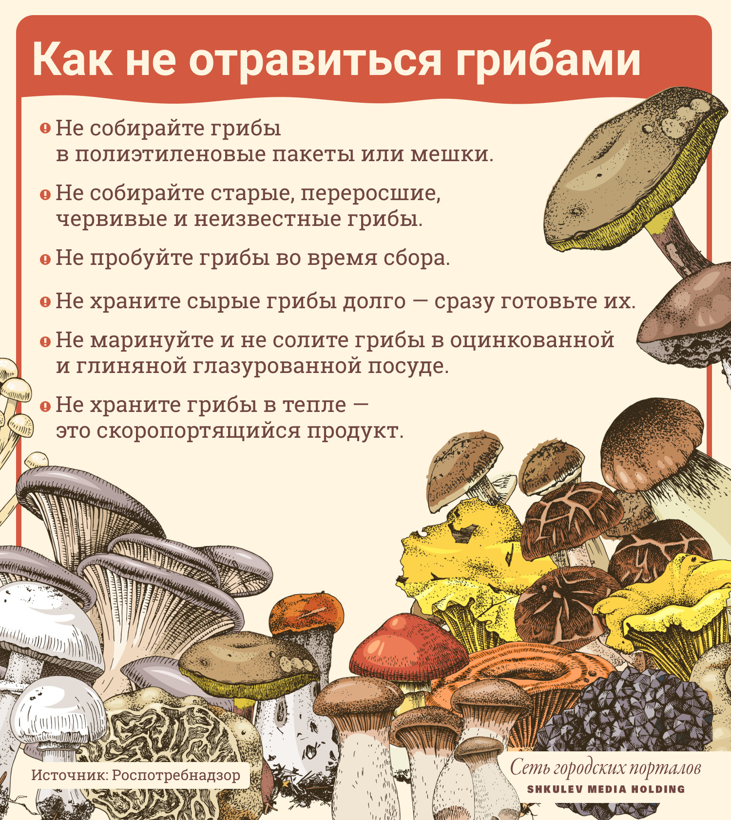 Можно ли детям шампиньоны: с какого возраста давать грибы, со скольки лет есть, комаровский