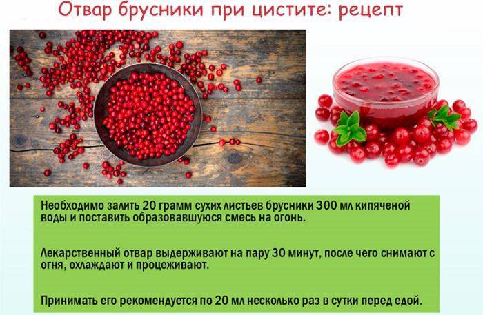 Полезные свойства брусники для будущих мам