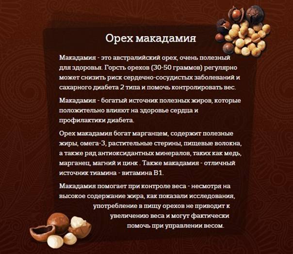 Орехи при грудном вскармливании: грецкие, кедровые и другие