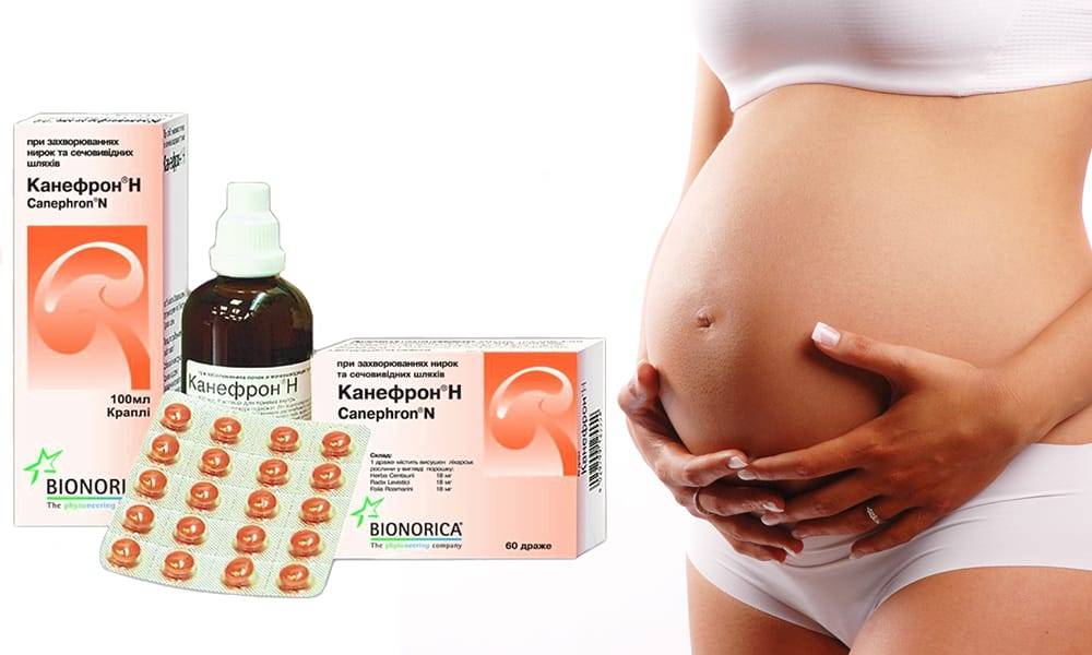 Показания и противопоказания к употреблению канефрона во время беременности