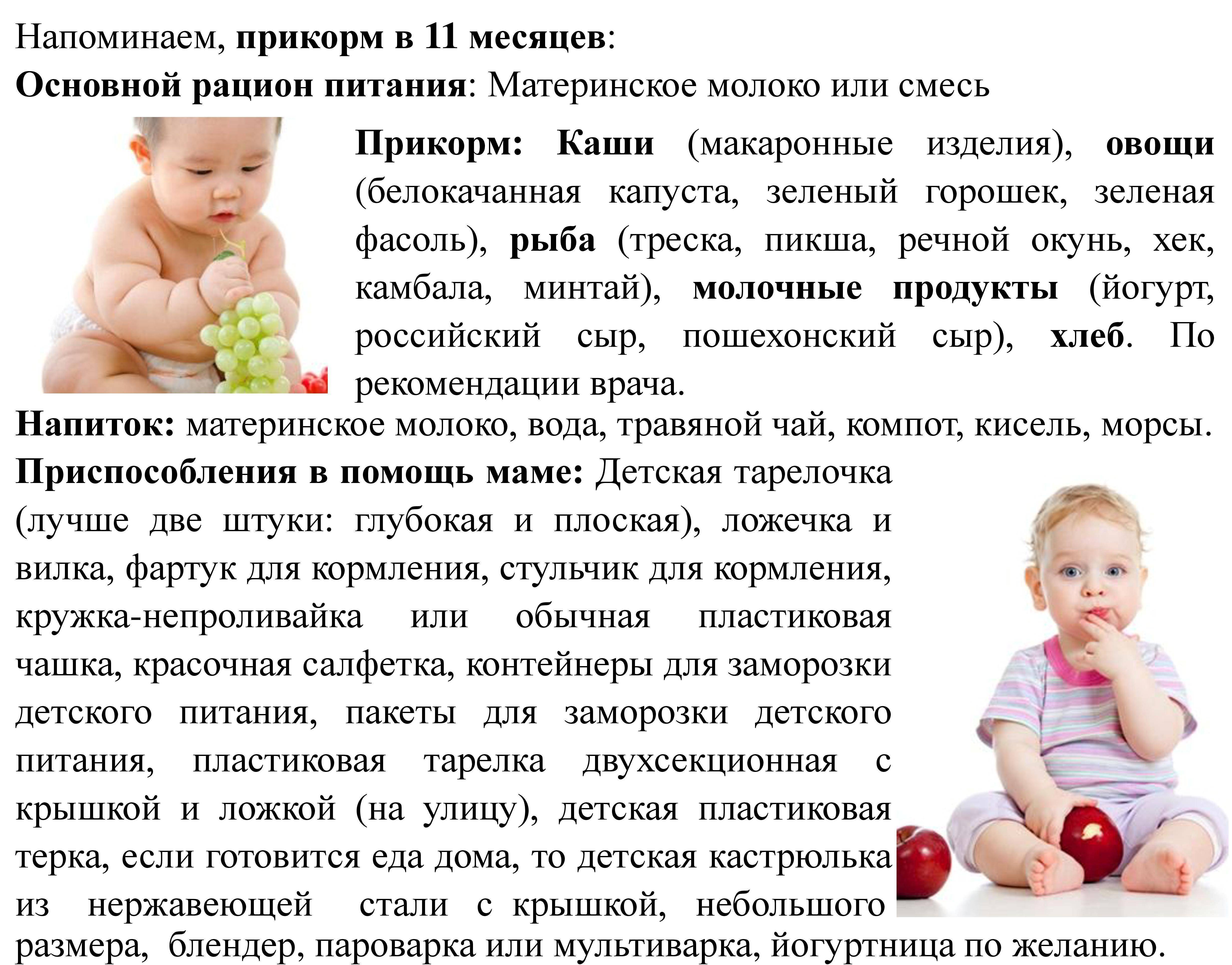 Что должен уметь ребенок в 11 месяцев: развитие, навыки и умения малыша