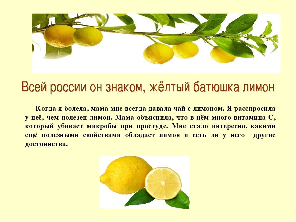 Горячие лимоны польза. Чем полезен лимон. Полезные свойства лимона. Польза лимона. Лечебные свойства лимона.