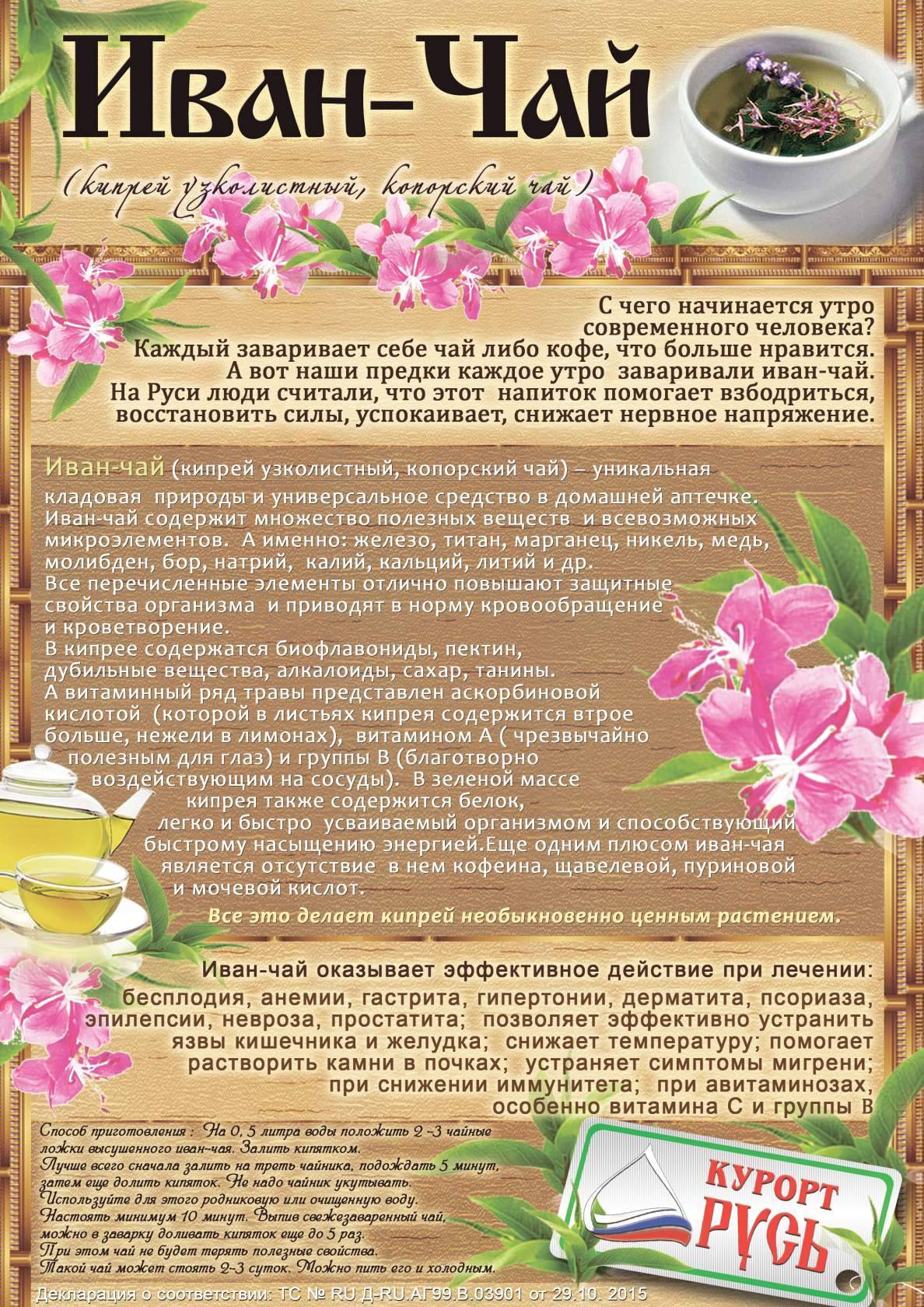 Иван-чай (кипрей) – подарок природы для кормящих мам