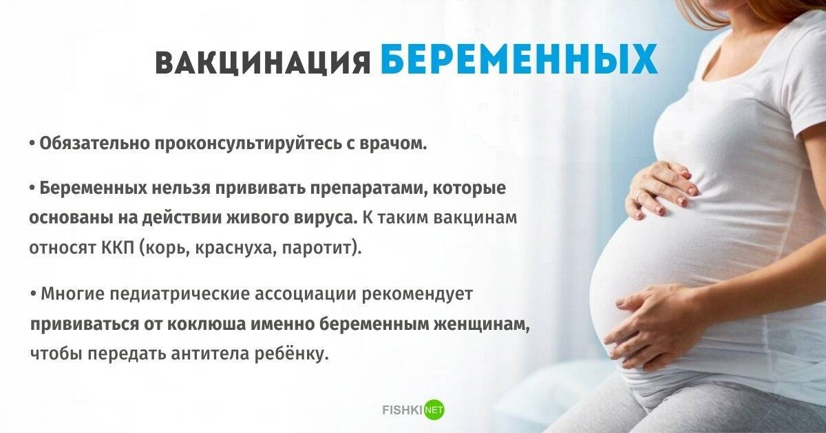 Обязаны ли беременные. Прививки для беременных. Вакцинация беременных женщин. Иммунизация беременных. Вакцинация беременной памятка.