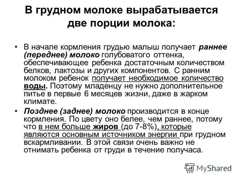 Грудное кормление новорожденных после родов:  советы