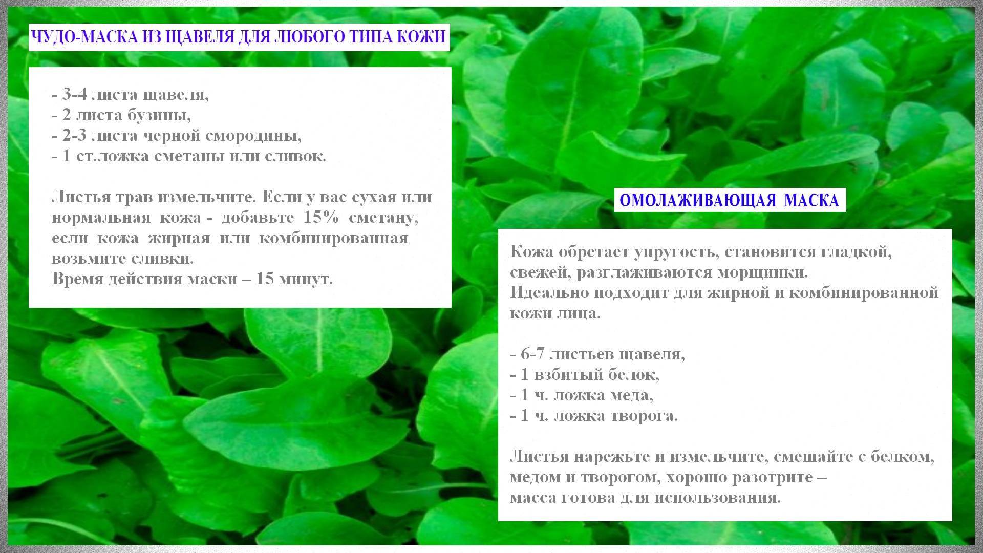 Какие салаты можно есть кормящей маме? (рецепты)