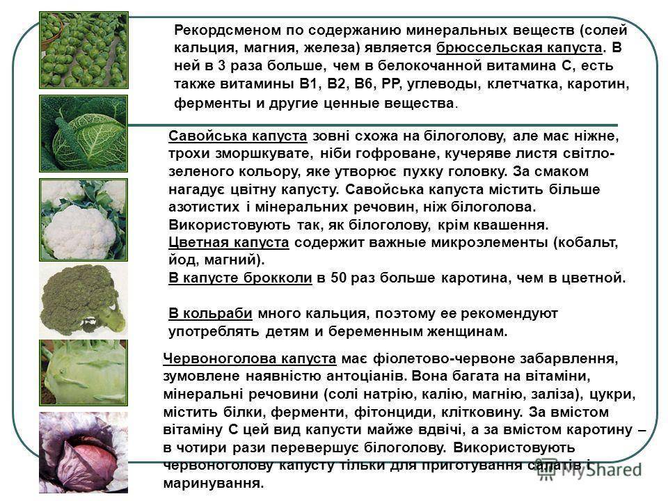 Пюре из капусты для грудничка: рецепты
