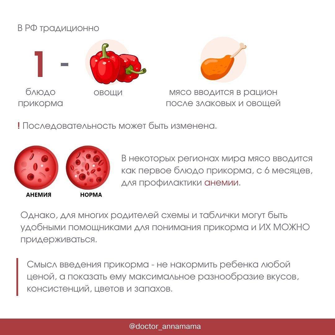Овощное пюре для детей: когда начинать давать, 12 правил прикорма, советы педиатра по приготовлению