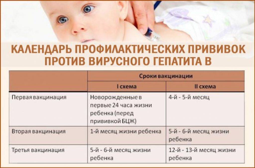 Прививки новорождённым в роддоме: какие делают, зачем они нужны