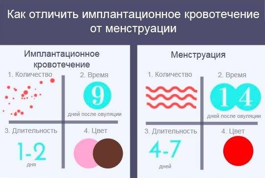Имплантационное кровотечение: фото на прокладке, на какой день после зачатия