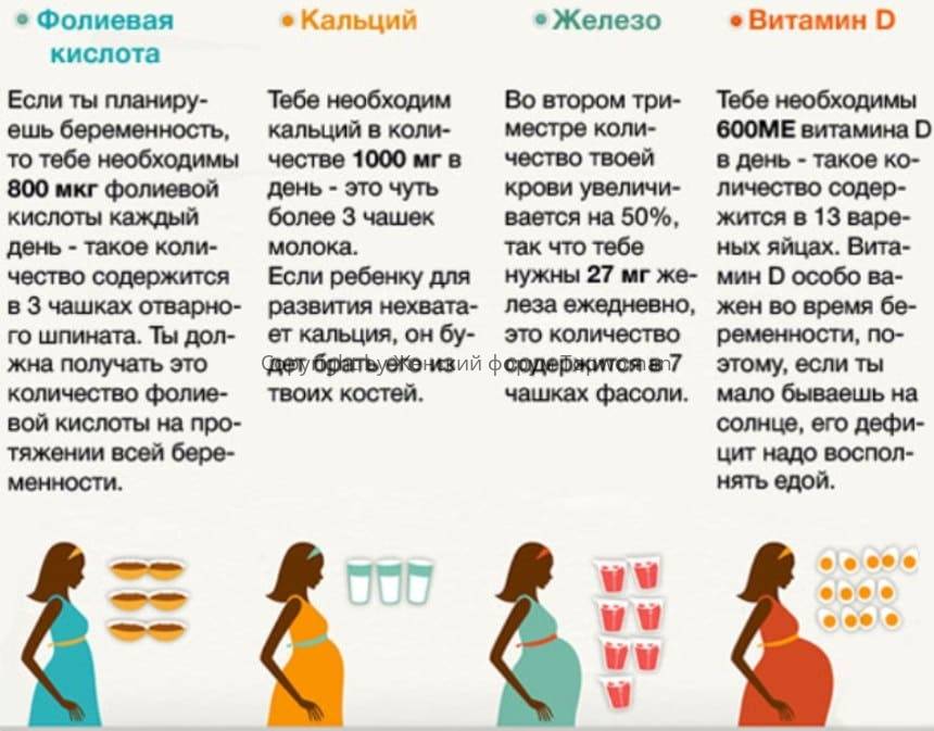 Первые действия при беременности - agulife.ru
