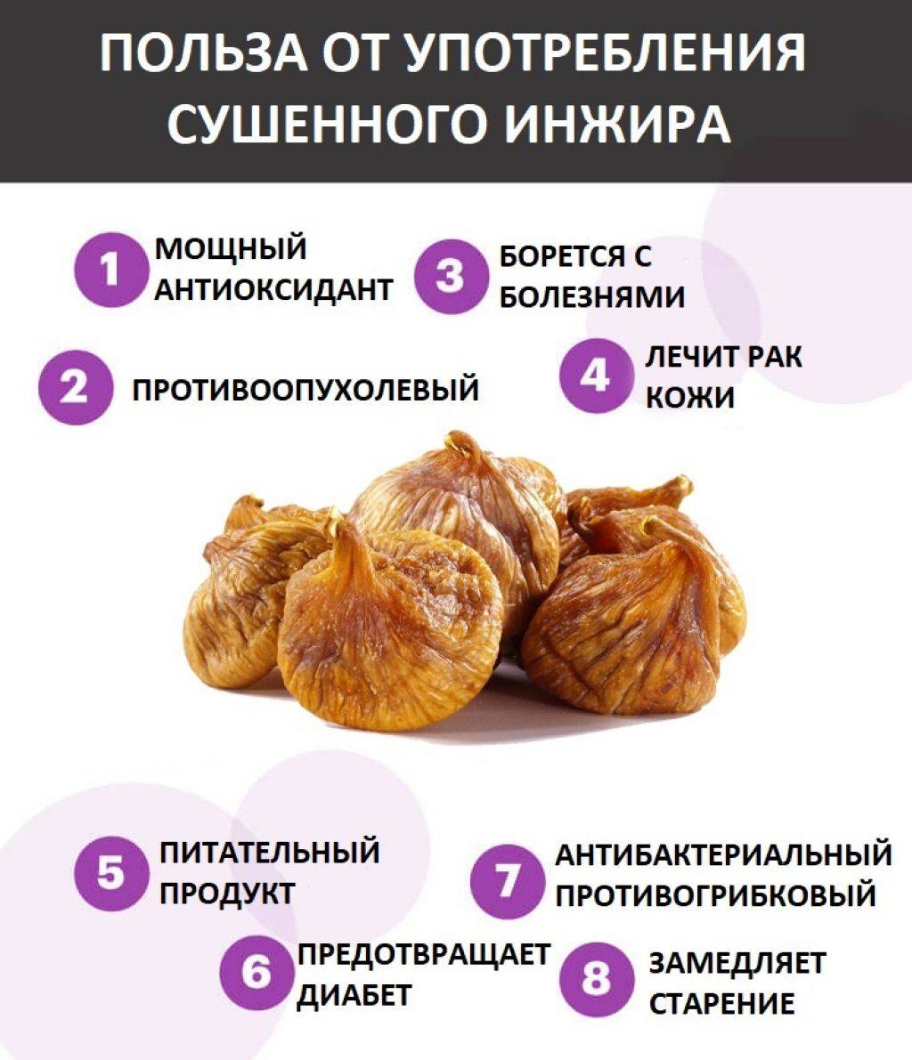 Инжир в рационе кормящей мамы: когда можно вводить сухофрукт при грудном вскармливании?