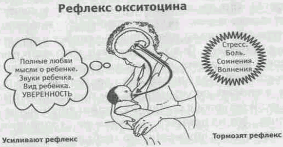 Трещины на сосках при грудном кормлении: методы лечения и профилактики