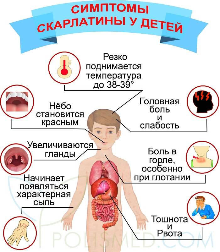 Что делать, если лихорадка у ребёнка сопровождается высыпаниями?