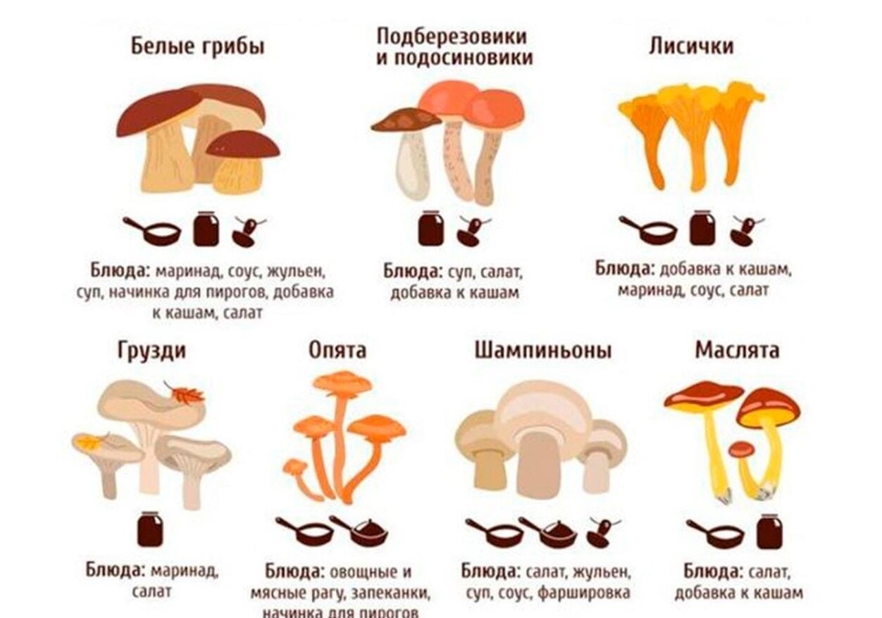 С какого возраста можно давать грибы шампиньоны детям, мнение доктора комаровского
