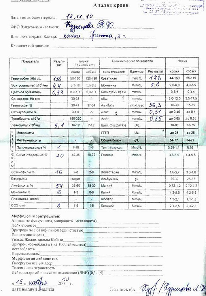 Анализ крови на аллергены: особенности, расшифровка
