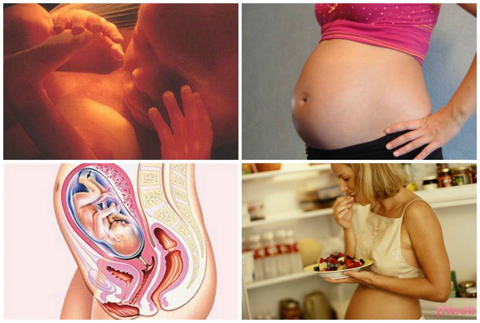28 неделя беременности: развитие плода, изменения в женском организме, видео, фото узи
