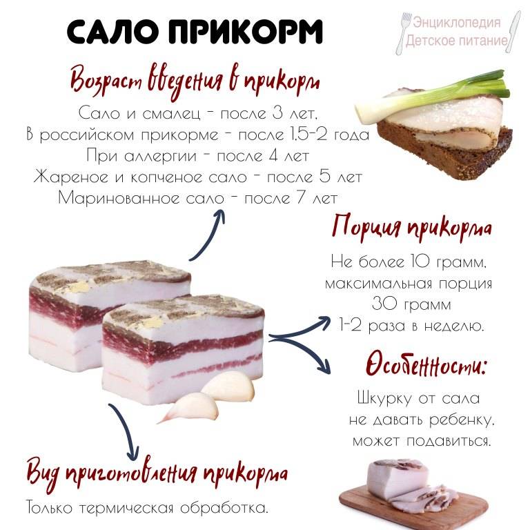 Можно ли детям сало