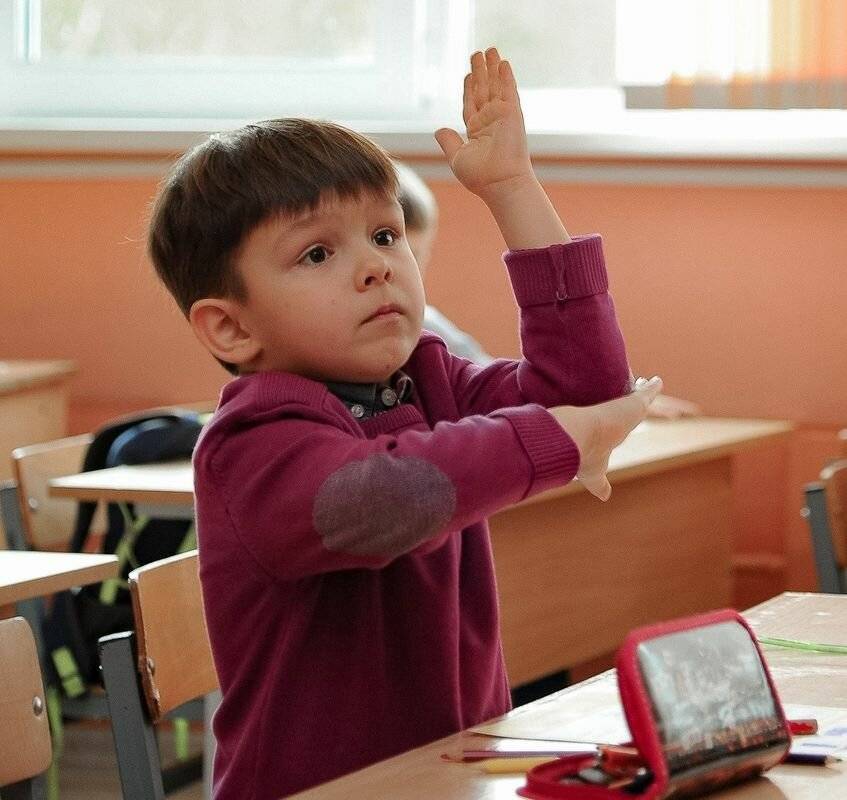 Как воспитать вундеркинда: развитие с первых дней - kpoxa.info