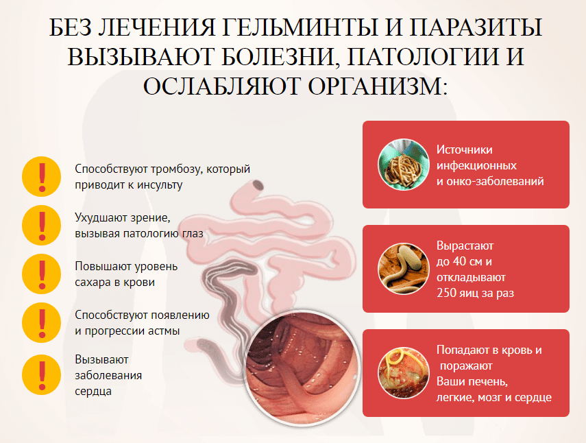 Аскариды в кале у детей - как вывести: фото, симптомы и лечение