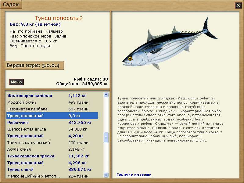 Могут ли дети есть тунец?
