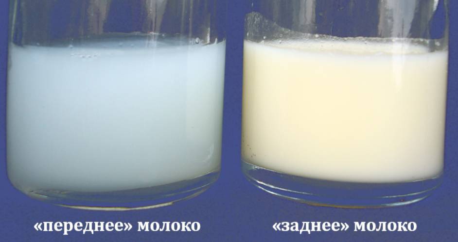 Какого цвета должно быть грудное молоко