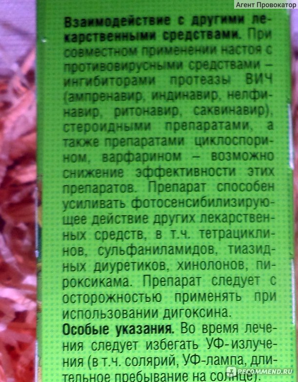 Зверобой: лечебные свойства, противопоказания, применение масла, отвара, настоя для лечения, побочные действия | азбука здоровья
