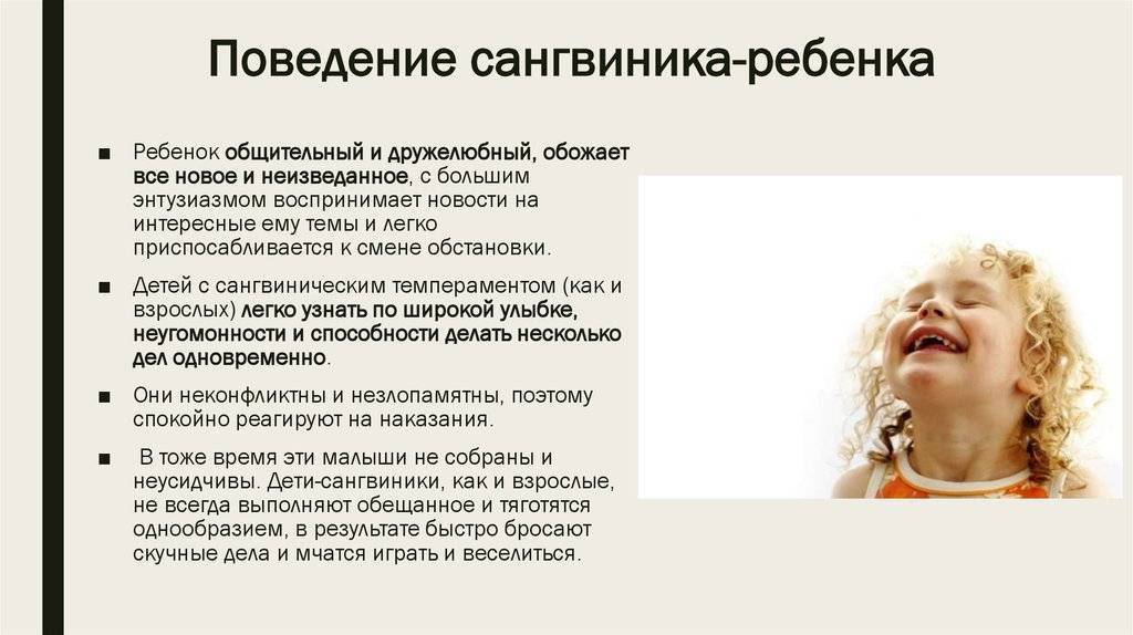 Сангвиник
