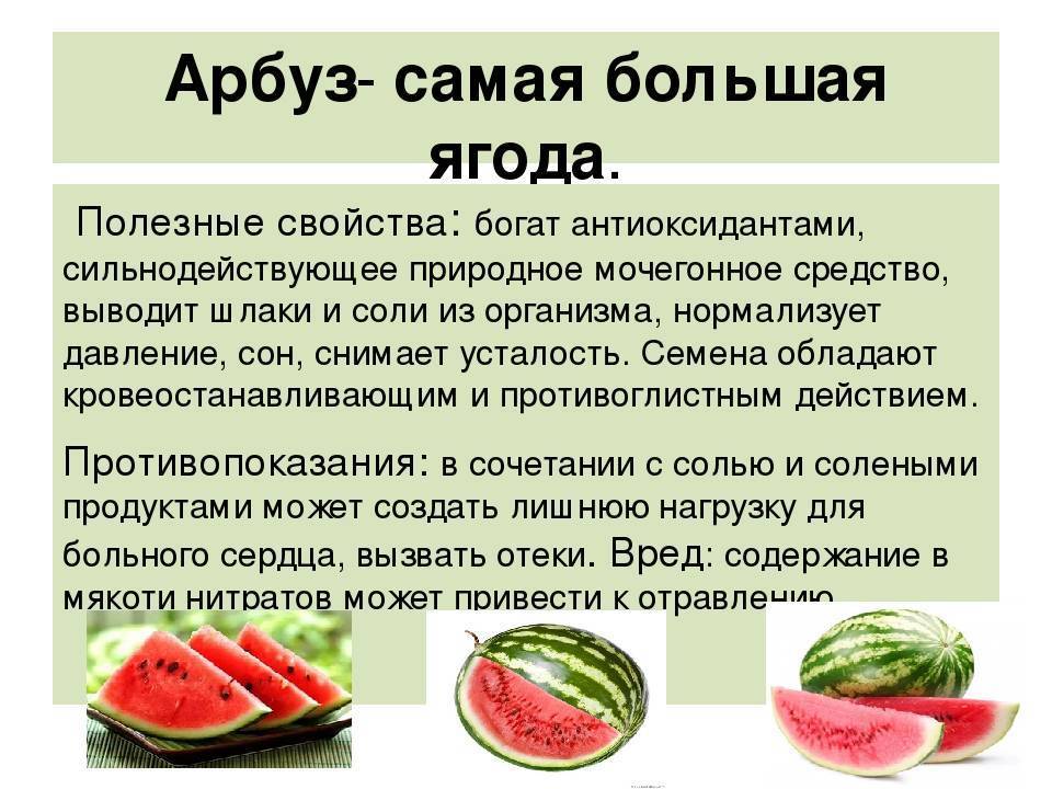 Польза и вред арбуза для кормящей мамы